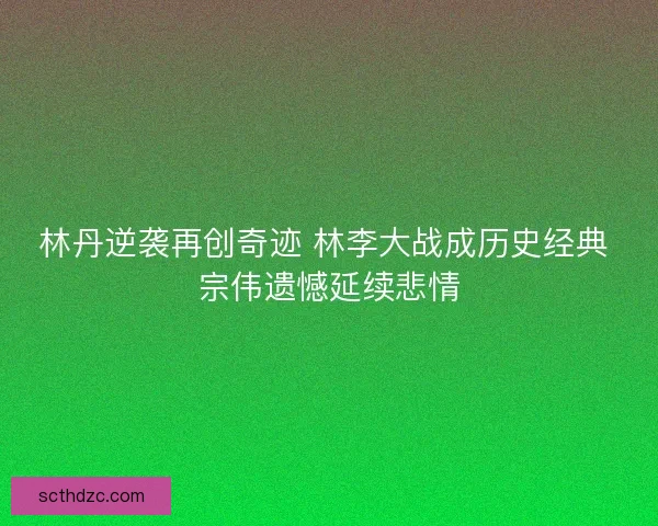 林丹逆袭再创奇迹 林李大战成历史经典 宗伟遗憾延续悲情